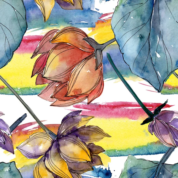 Lotus flores botânicas florais. Conjunto de ilustração de fundo aquarela. Padrão de fundo sem costura . — Fotografia de Stock