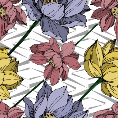Vektör Lotus çiçek botanik çiçekler. Siyah ve beyaz oyulmuş mürekkep sanatı. Kesintisiz arka plan deseni.