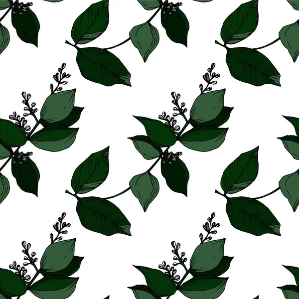 Vektor tropische Blüten und Blätter isoliert. Schwarz-weiß gestochene Tuschekunst. nahtloses Hintergrundmuster. — Stockvektor