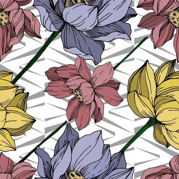 Vector Lotus flores botánicas florales. Tinta grabada en blanco y negro. Patrón de fondo sin costuras . — Vector de stock