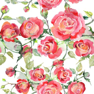 Kırmızı gül buketi çiçek botanik çiçekler. Suluboya arka plan illüstrasyon küme. Sorunsuz arka plan deseni.