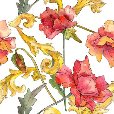 Kırmızı haşhaş çiçek botanik çiçekleri. Suluboya arka plan illüstrasyon seti. Kesintisiz arka plan deseni.