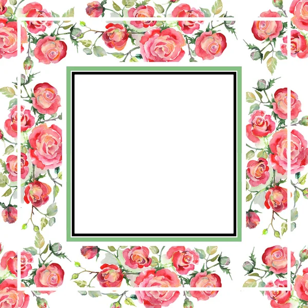 Rosa rossa bouquet fiori botanici floreali. Acquerello sfondo illustrazione set. Quadrato ornamento bordo cornice . — Foto Stock