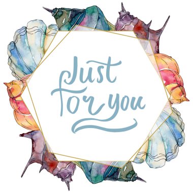 Yaz plaj deniz kabuğu tropikal unsurlar. Suluboya arka plan illüstrasyon seti. Çerçeve kenarlık süs karesi.