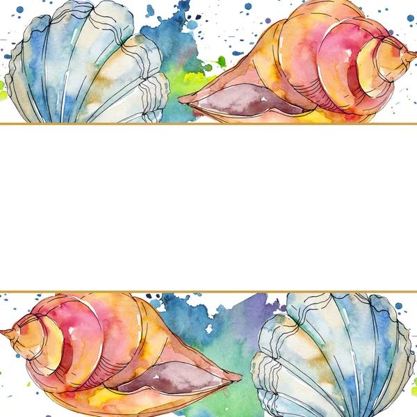 Summer beach seashell tropical elements. Watercolor background illustration set. Frame border ornament square.
