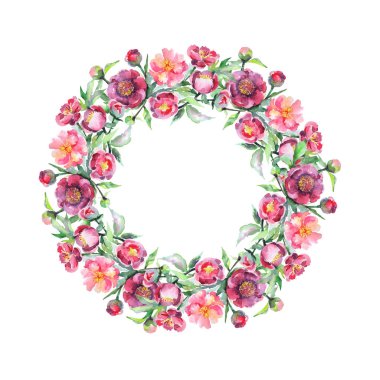 Şakayık buketi çiçek botanik çiçekleri. Suluboya arka plan illüstrasyon seti. Çerçeve kenarlık süs karesi.