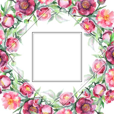 Şakayık buketi çiçek botanik çiçekleri. Suluboya arka plan illüstrasyon seti. Çerçeve kenarlık süs karesi.