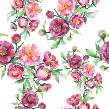 Şakayık buketi çiçek botanik çiçekleri. Suluboya arka plan illüstrasyon seti. Kesintisiz arka plan deseni.