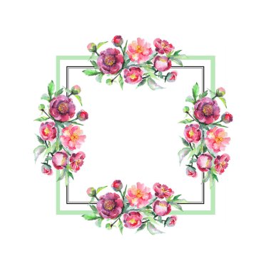 Şakayık buketi çiçek botanik çiçekleri. Suluboya arka plan illüstrasyon seti. Çerçeve kenarlık süs karesi.