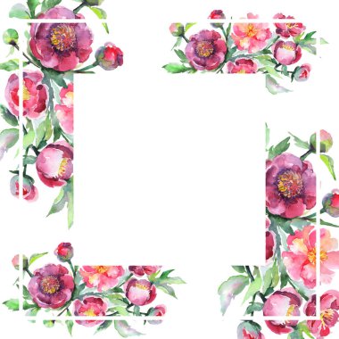 Şakayık buketi çiçek botanik çiçekleri. Suluboya arka plan illüstrasyon seti. Çerçeve kenarlık süs karesi.
