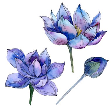 Mavi lotus çiçek botanik çiçekler. Suluboya arka plan illüstrasyon seti. İzole lotus illüstrasyon elemanı.