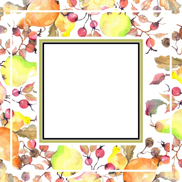 Tak van peren met rozenbottels fruit. Aquarel achtergrond illustratie instellen. Frame rand ornament vierkant. — Stockfoto