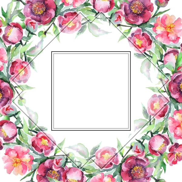 Peony buquê flores botânicas florais. Conjunto de ilustração de fundo aquarela. Quadro borda ornamento quadrado . — Fotografia de Stock