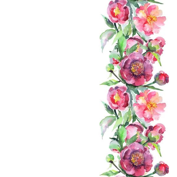 Bouquet pivoine fleurs botaniques florales. Ensemble d'illustration de fond aquarelle. Modèle de fond sans couture . — Photo