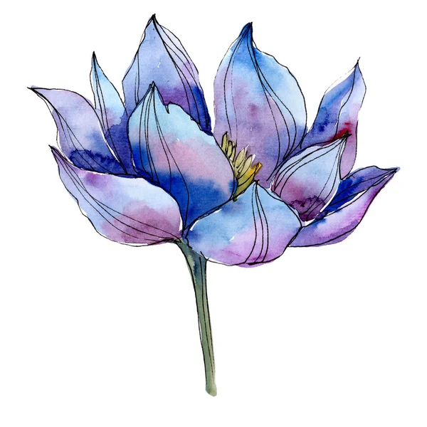 Blauwe lotusbloemen botanische bloemen. Aquarel achtergrond illustratie instellen. Geïsoleerd Lotus illustratie-element. — Stockfoto