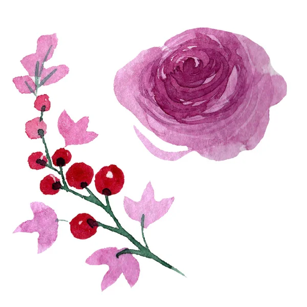 Peony floral botanical flowers. Watercolor background illustration set. Isolated flower illustration element. — Stock Photo, Image