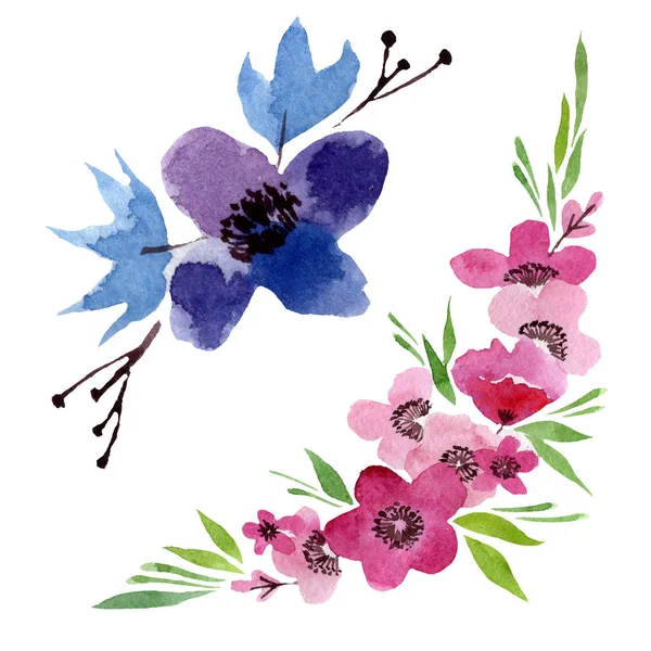 ワイルドフラワーの花の植物の花。●水彩背景イラストセット。孤立した花のイラスト要素. — ストック写真