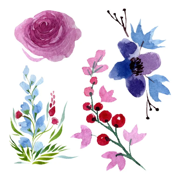 Peonía flores botánicas florales. Conjunto de ilustración de fondo acuarela. Elemento de ilustración de flores aisladas . —  Fotos de Stock