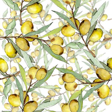 Yeşil meyveli zeytin dalı. Suluboya arka plan illüstrasyon seti. Kesintisiz arka plan deseni.