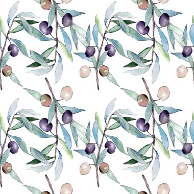 Siyah meyveli zeytin dalı. Suluboya arka plan illüstrasyon seti. Kesintisiz arka plan deseni.