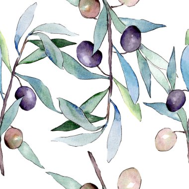 Siyah meyveli zeytin dalı. Suluboya arka plan illüstrasyon seti. Kesintisiz arka plan deseni.