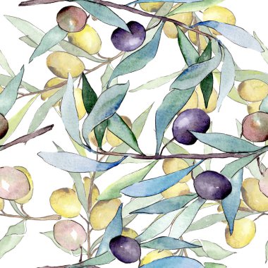 Siyah ve yeşil meyveli zeytin dalı. Suluboya arka plan illüstrasyon seti. Kesintisiz arka plan deseni.