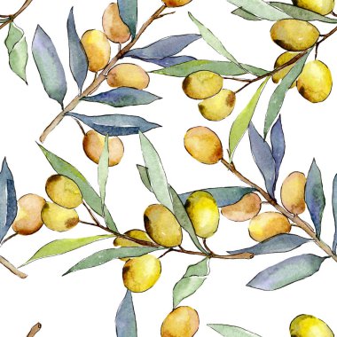 Yeşil meyveli zeytin dalı. Suluboya arka plan illüstrasyon seti. Kesintisiz arka plan deseni.