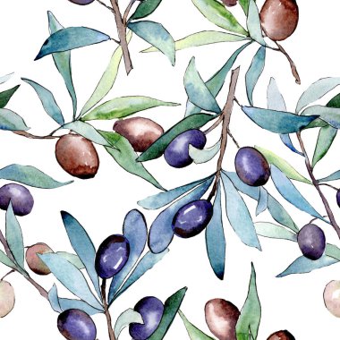 Siyah meyveli zeytin dalı. Suluboya arka plan illüstrasyon seti. Kesintisiz arka plan deseni.