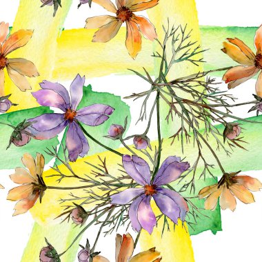 Cosmos çiçek çiçek botanik çiçekler. Suluboya arka plan illüstrasyon seti. Kesintisiz arka plan deseni.