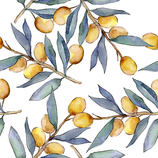 Rama de olivo con fruta verde. Conjunto de ilustración de fondo acuarela. Patrón de fondo sin costuras . — Foto de Stock