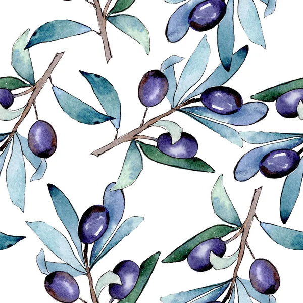 Rama de olivo con fruta negra. Conjunto de ilustración de fondo acuarela. Patrón de fondo sin costuras . — Foto de Stock