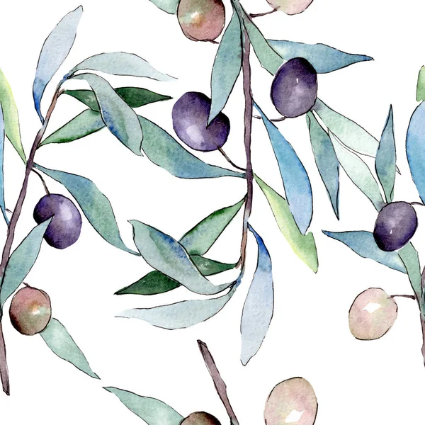 Siyah meyveli zeytin dalı. Suluboya arka plan illüstrasyon seti. Kesintisiz arka plan deseni.