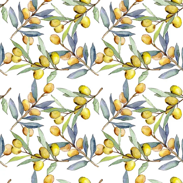 Yeşil meyveli zeytin dalı. Suluboya arka plan illüstrasyon seti. Kesintisiz arka plan deseni.