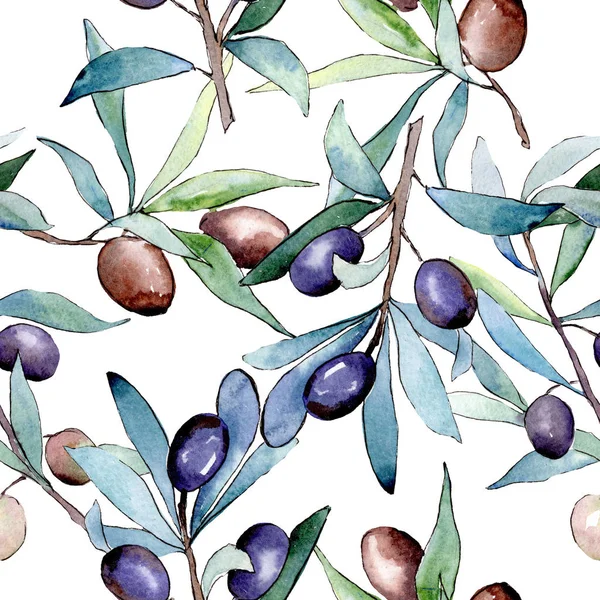 Siyah meyveli zeytin dalı. Suluboya arka plan illüstrasyon seti. Kesintisiz arka plan deseni.