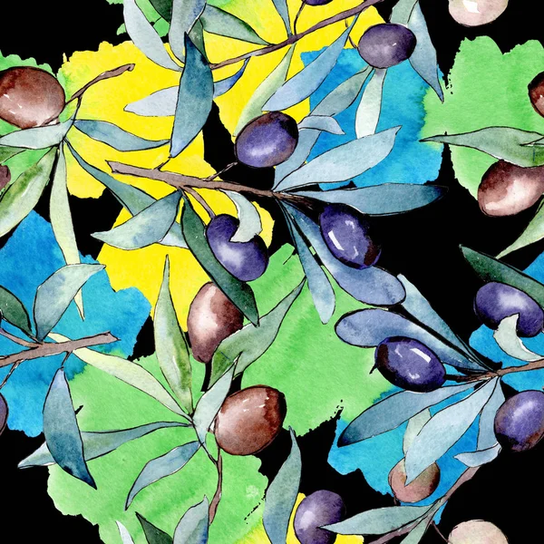 Rama de olivo con fruta negra. Conjunto de ilustración de fondo acuarela. Patrón de fondo sin costuras . —  Fotos de Stock