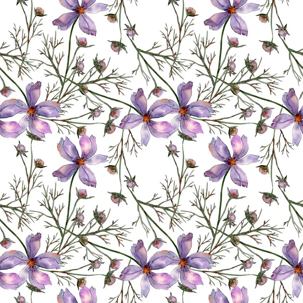 Cosmos çiçek çiçek botanik çiçekler. Suluboya arka plan illüstrasyon seti. Kesintisiz arka plan deseni.