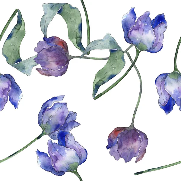 Flor tulipa roxa flores botânicas florais. Conjunto de ilustração de fundo aquarela. Padrão de fundo sem costura . — Fotografia de Stock