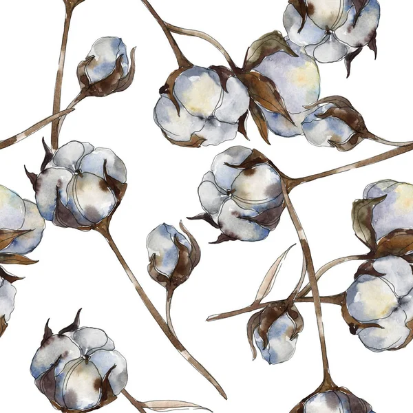 Flores botánicas florales de algodón blanco. Juego de ilustración en acuarela. Patrón de fondo sin costuras . — Foto de Stock