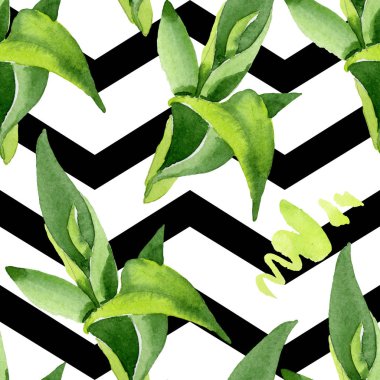 Bambu yeşil yaprakları. Suluboya arka plan illüstrasyon seti. Kesintisiz arka plan deseni.