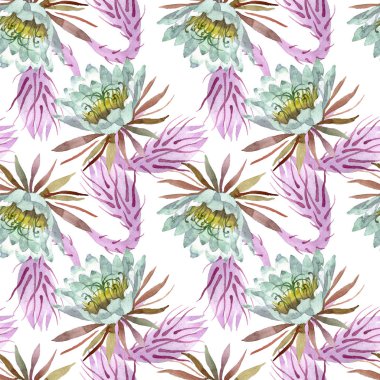 Beyaz epifilofal oxypetallim çiçek botanik çiçekler. Suluboya illüstrasyon seti. Kesintisiz arka plan deseni.