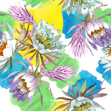 Beyaz epifilofal oxypetallim çiçek botanik çiçekler. Suluboya illüstrasyon seti. Kesintisiz arka plan deseni.