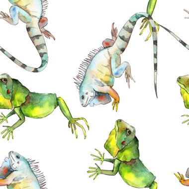Egzotik iguana vahşi hayvan. Suluboya arka plan illüstrasyon seti. Kesintisiz arka plan deseni.