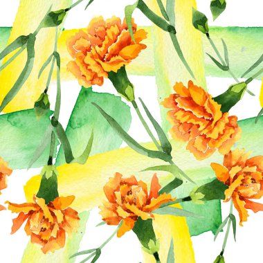 Sarı dianthus çiçek botanik çiçekler. Suluboya arka plan illüstrasyon seti. Kesintisiz arka plan deseni.