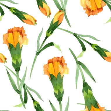 Sarı dianthus çiçek botanik çiçekler. Suluboya arka plan illüstrasyon seti. Kesintisiz arka plan deseni.