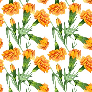 Sarı dianthus çiçek botanik çiçekler. Suluboya arka plan illüstrasyon seti. Kesintisiz arka plan deseni.