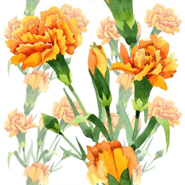 Sarı dianthus çiçek botanik çiçekler. Suluboya arka plan illüstrasyon seti. Kesintisiz arka plan deseni.