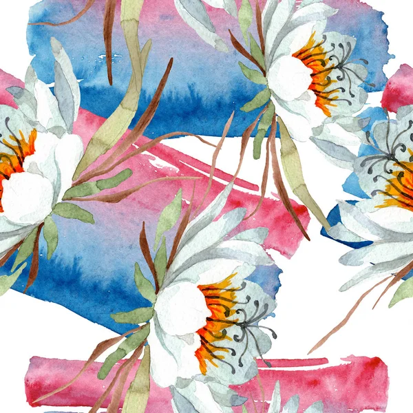 Beyaz epifilofal oxypetallim çiçek botanik çiçekler. Suluboya illüstrasyon seti. Kesintisiz arka plan deseni.