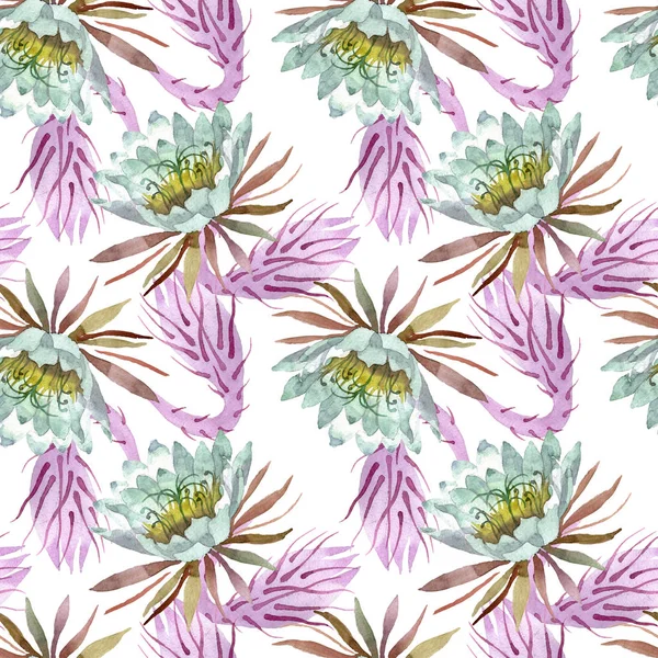 Beyaz epifilofal oxypetallim çiçek botanik çiçekler. Suluboya illüstrasyon seti. Kesintisiz arka plan deseni.