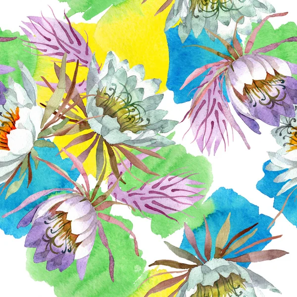 Beyaz epifilofal oxypetallim çiçek botanik çiçekler. Suluboya illüstrasyon seti. Kesintisiz arka plan deseni.