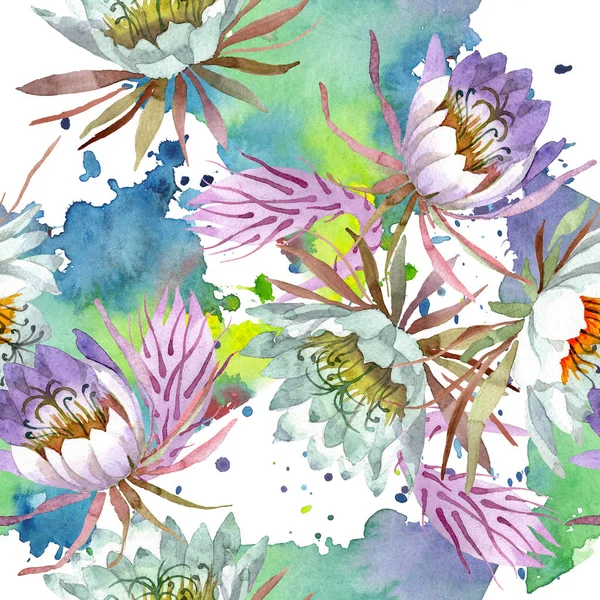 Beyaz epifilofal oxypetallim çiçek botanik çiçekler. Suluboya illüstrasyon seti. Kesintisiz arka plan deseni.